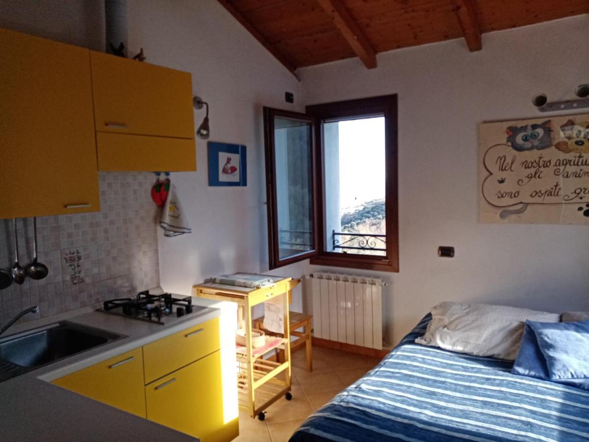 Agrisport Ca Di Cuni Apartment Roncagli Exterior photo