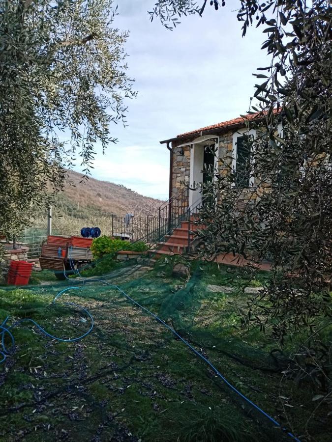 Agrisport Ca Di Cuni Apartment Roncagli Exterior photo